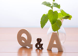 Q&A